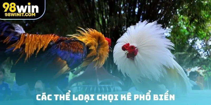 Các thể loại chọi kê phổ biến