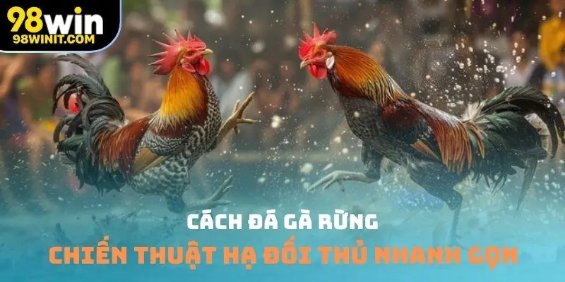 cách đá gà rừng