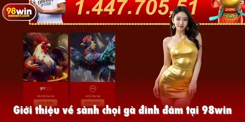 Giới thiệu về sảnh chọi gà đình đám tại 98win