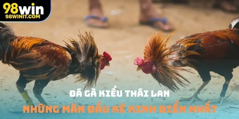 đá gà kiểu Thái Lan