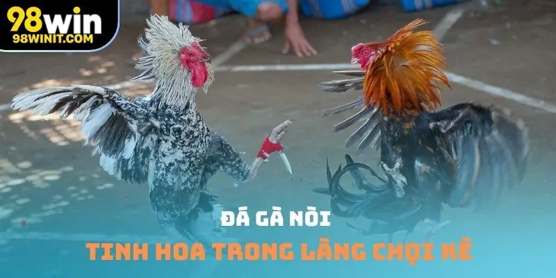 Đá gà nòi