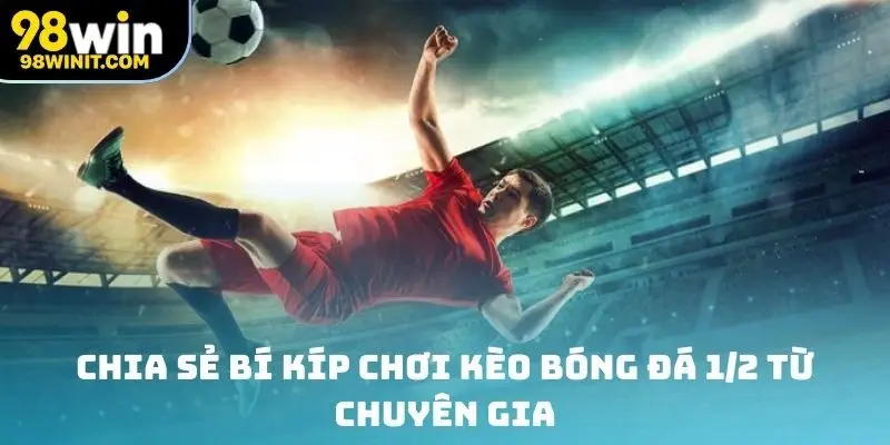 Chia sẻ bí kíp chơi kèo bóng đá 1/2 từ chuyên gia