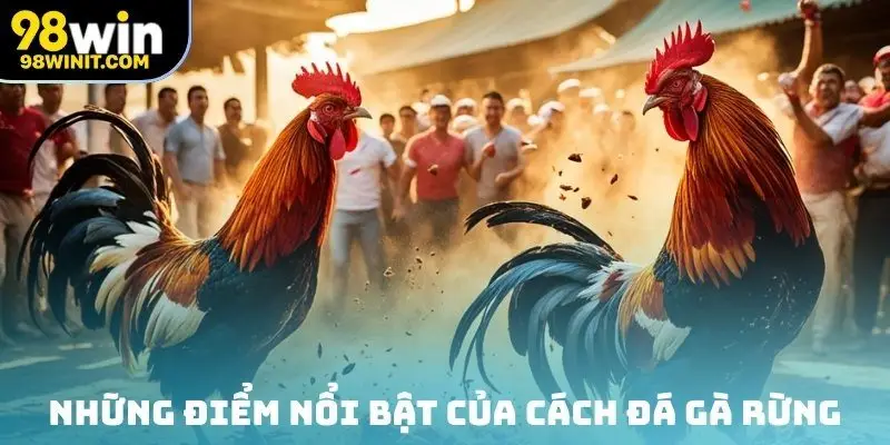 Những điểm nổi bật của cách đá gà rừng